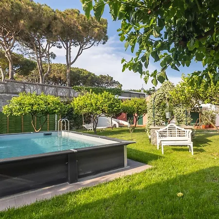 Conchiglia Blu Con Piscina
