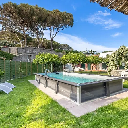 Conchiglia Blu Con Piscina Villa Forio di Ischia